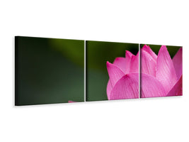 panoramic-3-piece-canvas-print-marko-lotus-in-pink