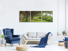 panoramic-3-piece-canvas-print-mature-trees