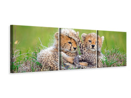 panoramic-3-piece-canvas-print-promising