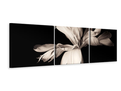 panoramic-3-piece-canvas-print-simplicity