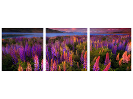 panoramic-3-piece-canvas-print-springtime-rush