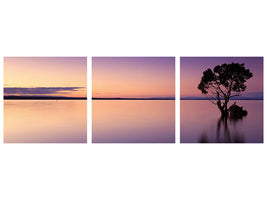 panoramic-3-piece-canvas-print-sunset-on-the-tree-in-the-water