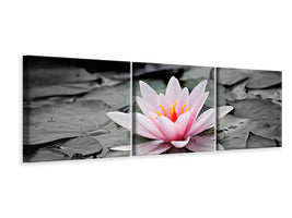 panoramic-3-piece-canvas-print-the-art-of-water-lily