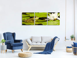 panoramic-3-piece-canvas-print-the-frog-and-the-water-lily