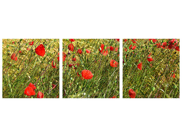 panoramic-3-piece-canvas-print-the-poppy-in-the-wind