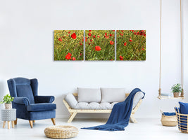 panoramic-3-piece-canvas-print-the-poppy-in-the-wind