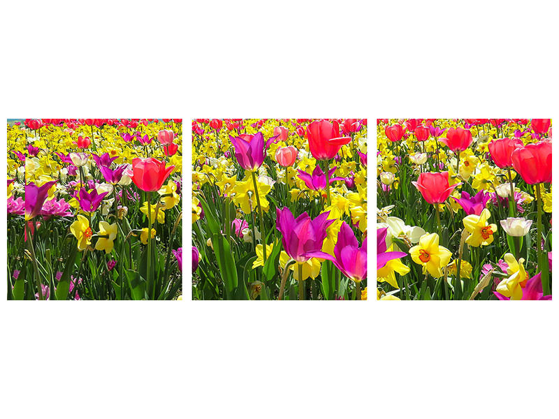 panoramic-3-piece-canvas-print-the-spring-awakening