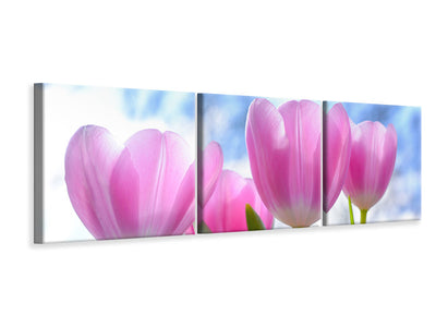 panoramic-3-piece-canvas-print-tulips-in-nature