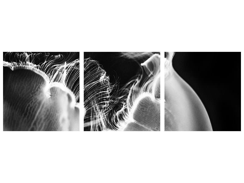 panoramic-3-piece-canvas-print-untitled-iii-a