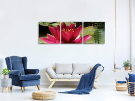 panoramic-3-piece-canvas-print-water-lily-in-red