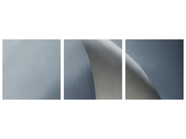 panoramic-3-piece-canvas-print-white-bow