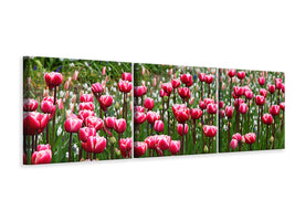 panoramic-3-piece-canvas-print-wild-tulip-field