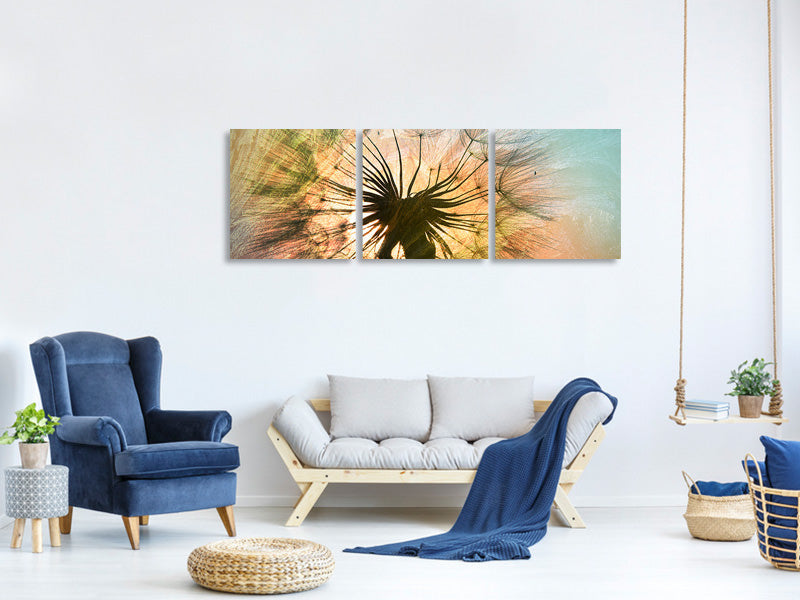 panoramic-3-piece-canvas-print-xxl-dandelion