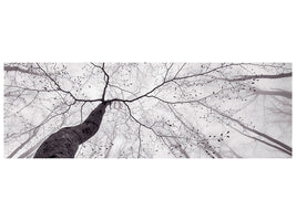 panoramic-canvas-print-a-view-of-the-tree-crown