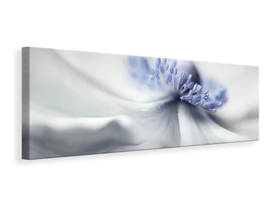 panoramic-canvas-print-anemone-spirit