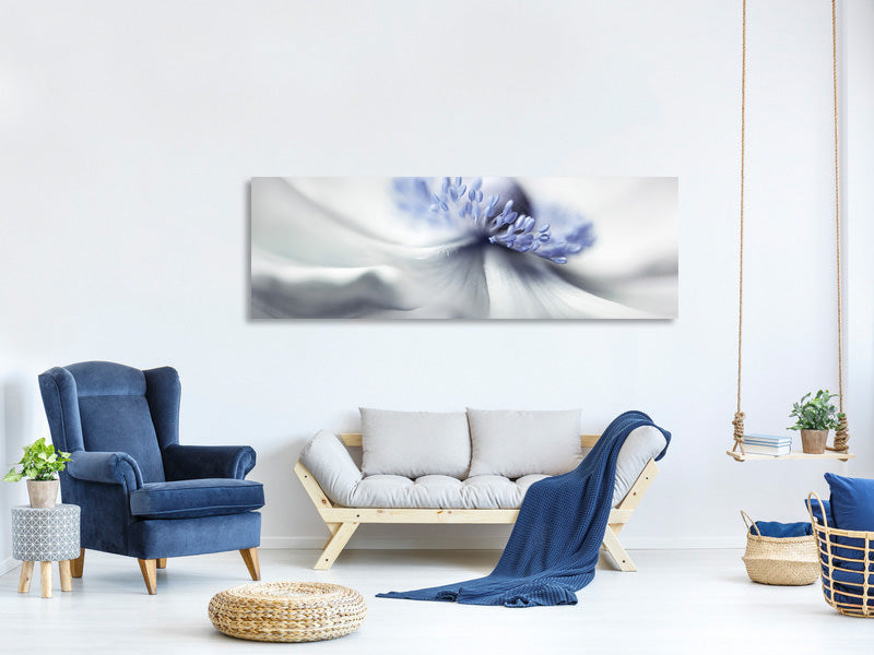 panoramic-canvas-print-anemone-spirit