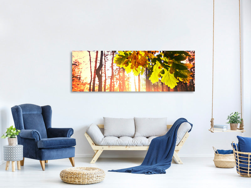 panoramic-canvas-print-autumn