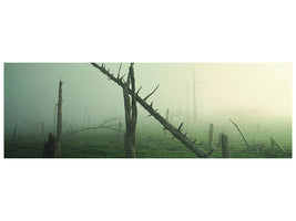 panoramic-canvas-print-beautiful-rot