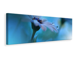 panoramic-canvas-print-beyond-the-visible