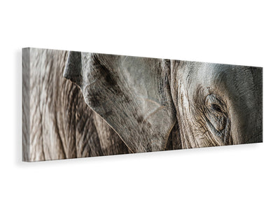 panoramic-canvas-print-close-up-elephant