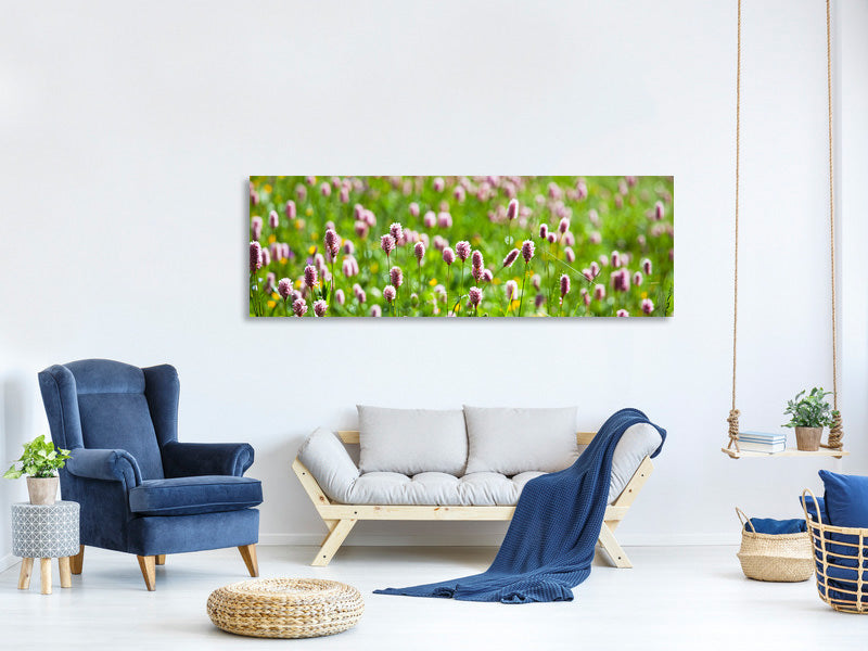 panoramic-canvas-print-clover