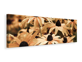 panoramic-canvas-print-daisies-in-sepia