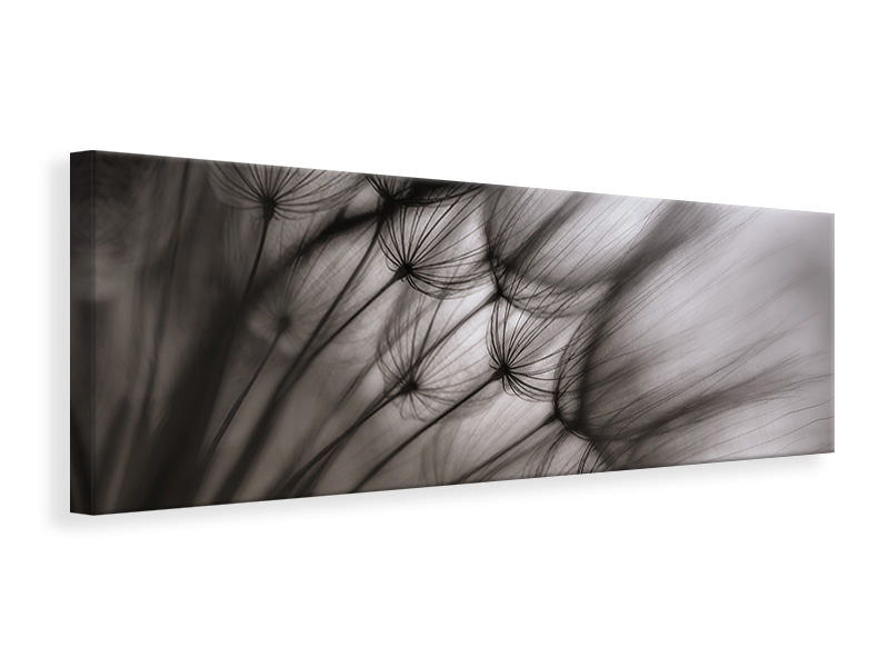 panoramic-canvas-print-dandelion-p