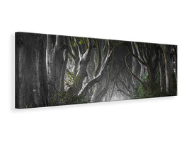 panoramic-canvas-print-dark-hedges