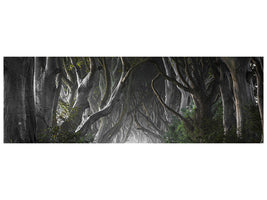 panoramic-canvas-print-dark-hedges