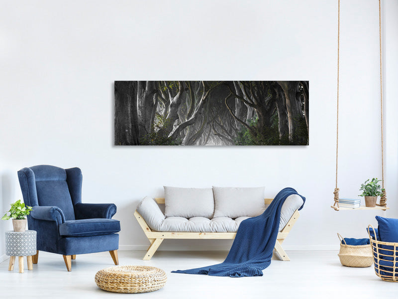 panoramic-canvas-print-dark-hedges