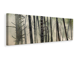 panoramic-canvas-print-dead-wood