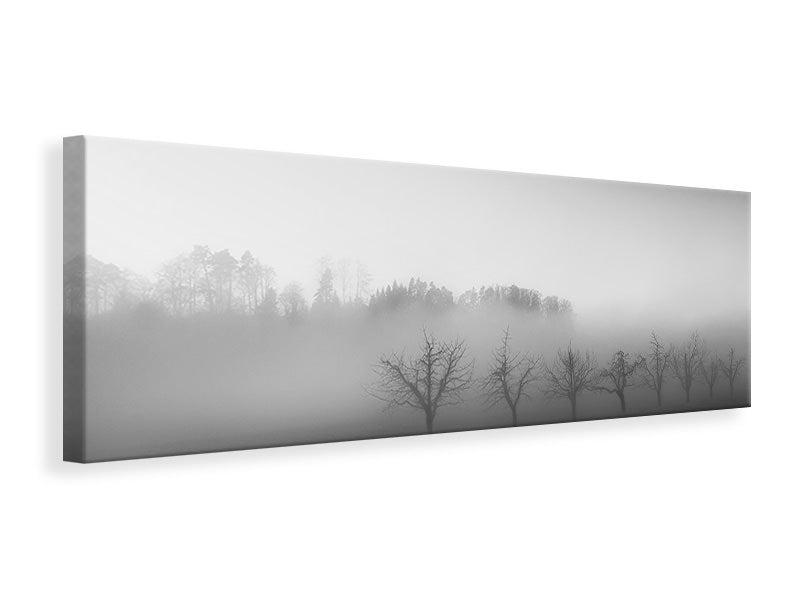 panoramic-canvas-print-eight-trees-in-the-mist