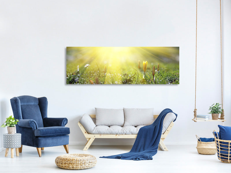 panoramic-canvas-print-flowery-meadow