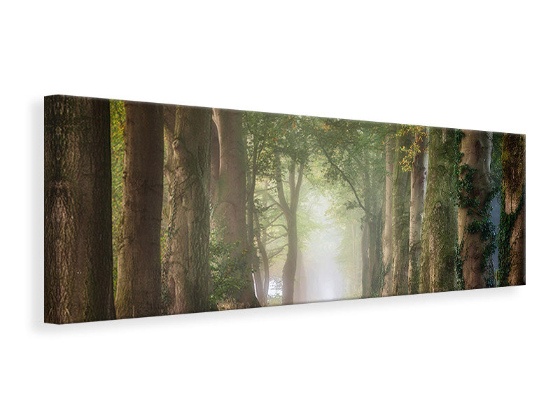 panoramic-canvas-print-forward