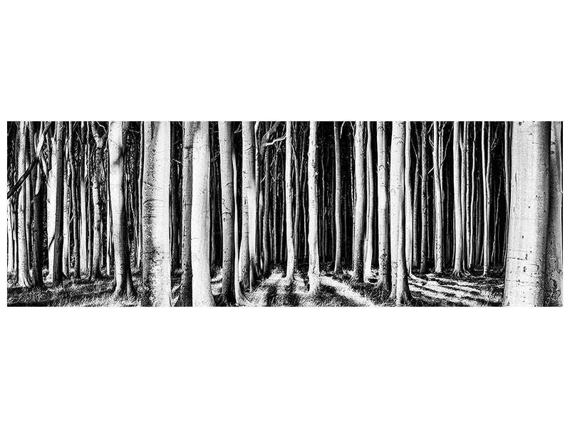 panoramic-canvas-print-ghost-forest