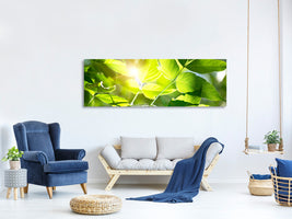 panoramic-canvas-print-go-green