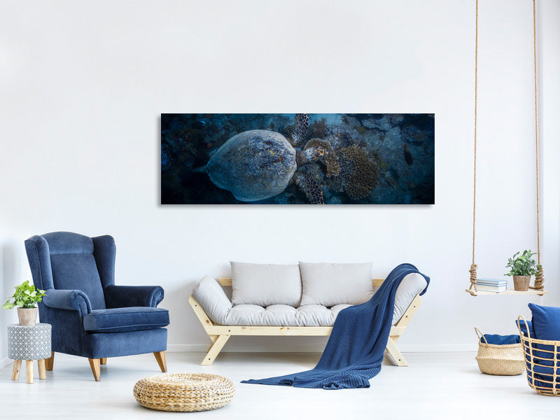 panoramic-canvas-print-hawksbill-sea-turtle-ii