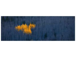 panoramic-canvas-print-heart-of-aspens