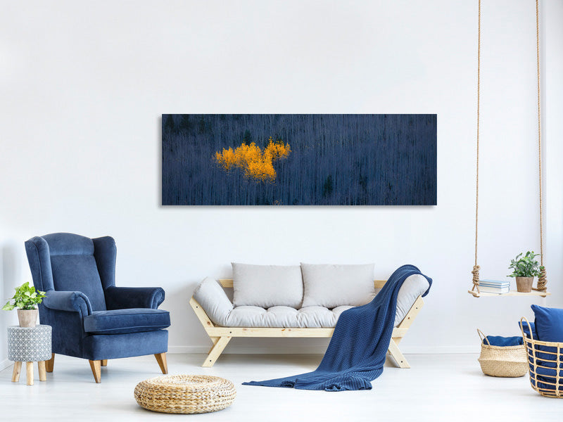 panoramic-canvas-print-heart-of-aspens