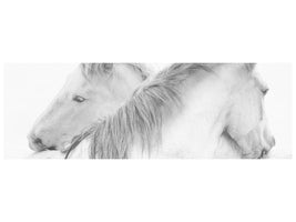 panoramic-canvas-print-horses