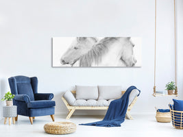 panoramic-canvas-print-horses