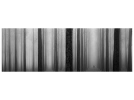 panoramic-canvas-print-in-a-fog