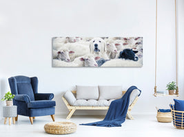 panoramic-canvas-print-in-disguise