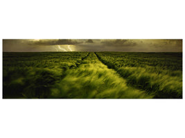 panoramic-canvas-print-journey-to-the-fierce-storm