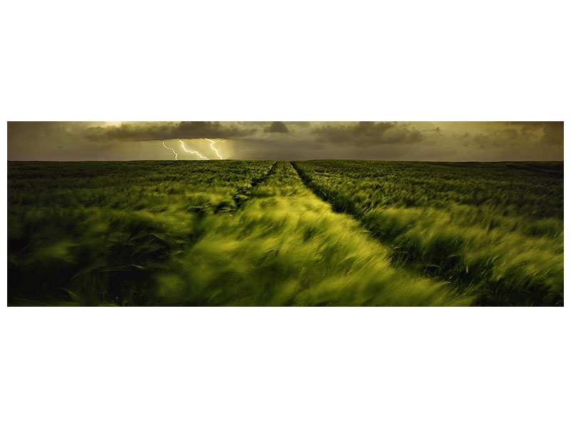 panoramic-canvas-print-journey-to-the-fierce-storm