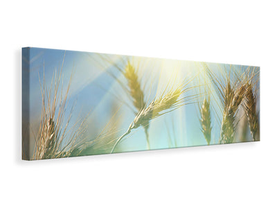 panoramic-canvas-print-king-of-cereals