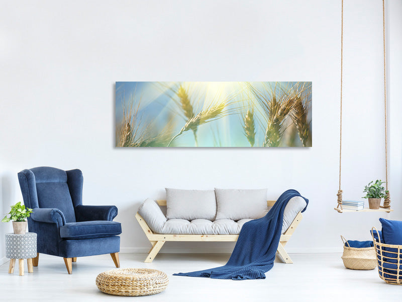 panoramic-canvas-print-king-of-cereals