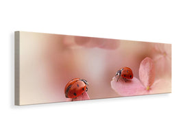 panoramic-canvas-print-ladybirds-on-pink-hydrangea