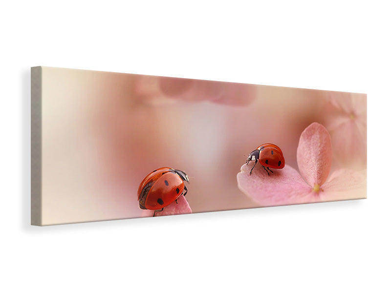 panoramic-canvas-print-ladybirds-on-pink-hydrangea