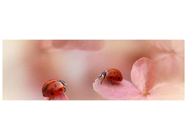 panoramic-canvas-print-ladybirds-on-pink-hydrangea